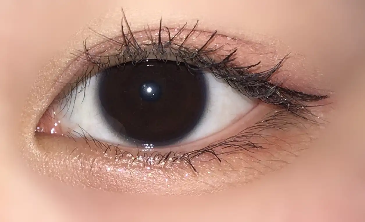 닥터마스카라 픽서 포 퍼펙트 래쉬