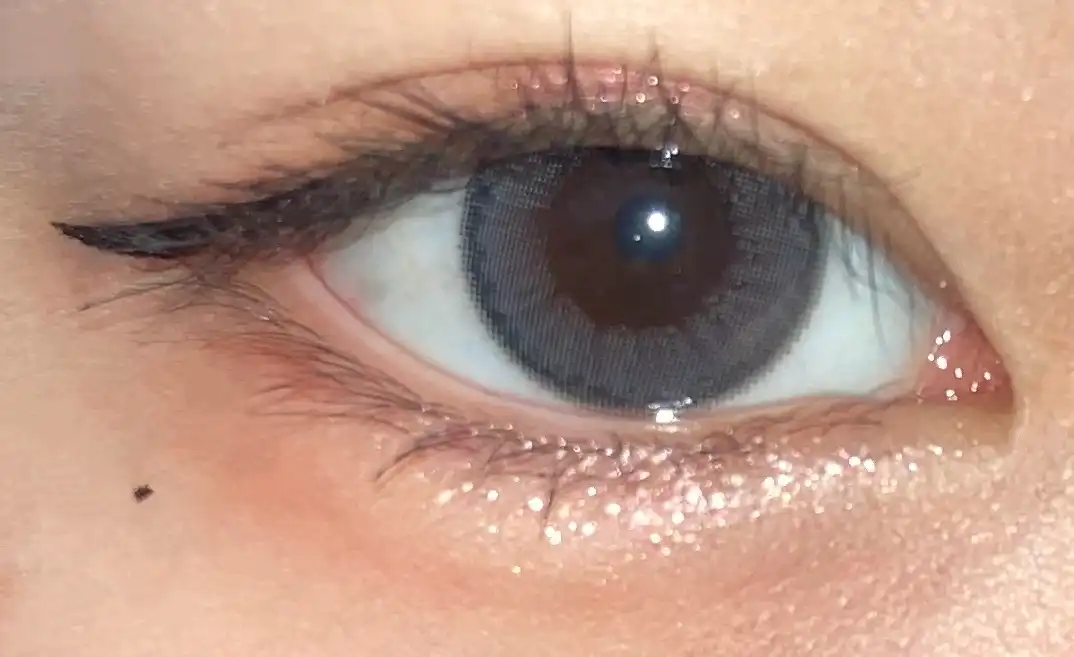 블랙 앤 브라운 듀얼라이너