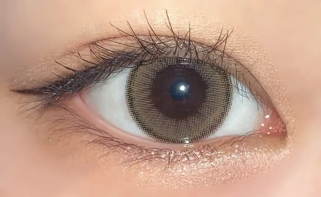 악마 홀로리스 원데이 [진저브라운]