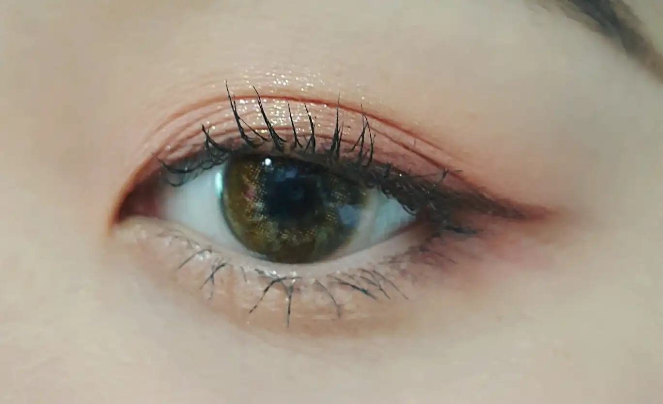 카리브3콘 [브라운]