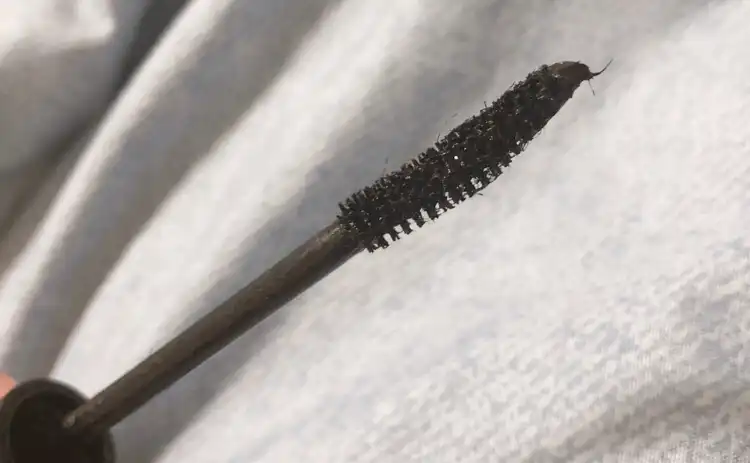 화이바 타투 마스카라