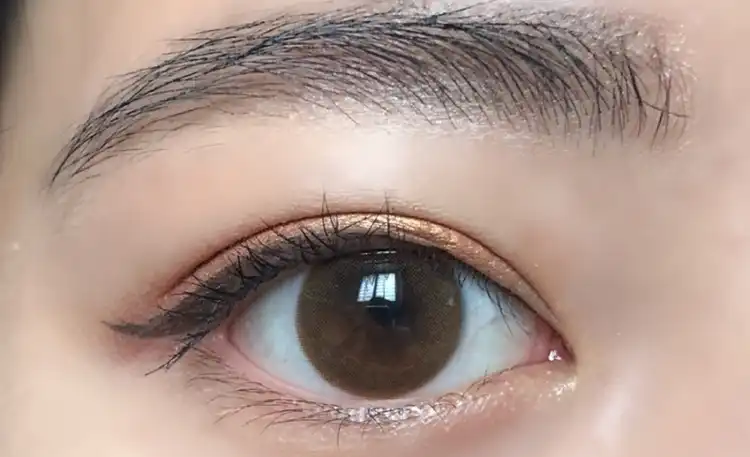 요조 데일리 [브라운]