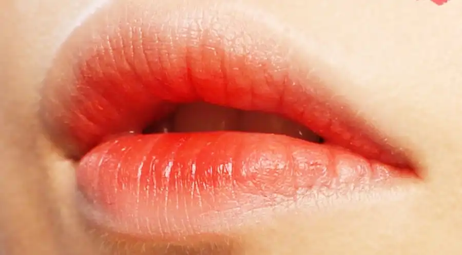 헤나틴트 [02 브레이브]