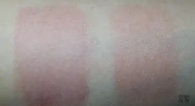 언니의파우치 리뷰 이미지 8 - [비타 컬러 워터리 루즈 PK02 석류석류]