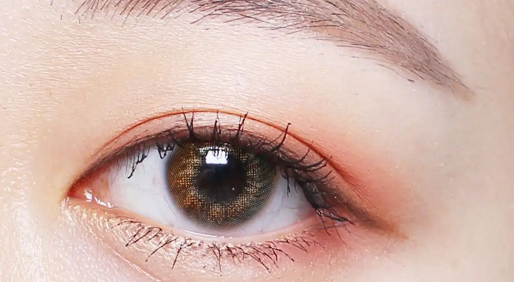 카리브3콘 [브라운]