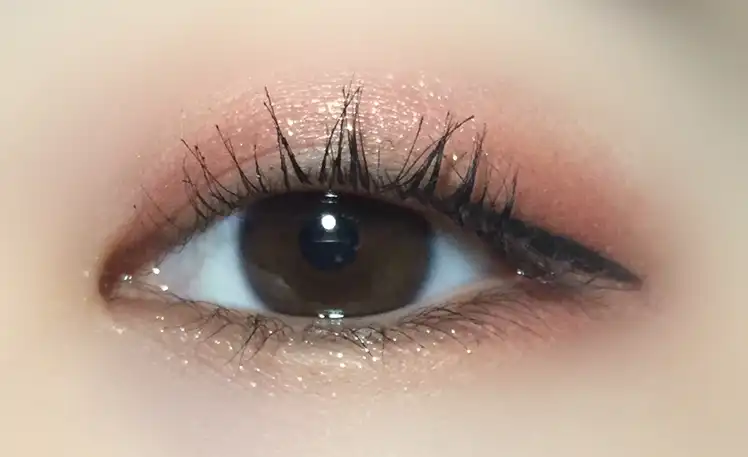 프로 터치 컬러 마스터 섀도 팔레트 엑스 에디션