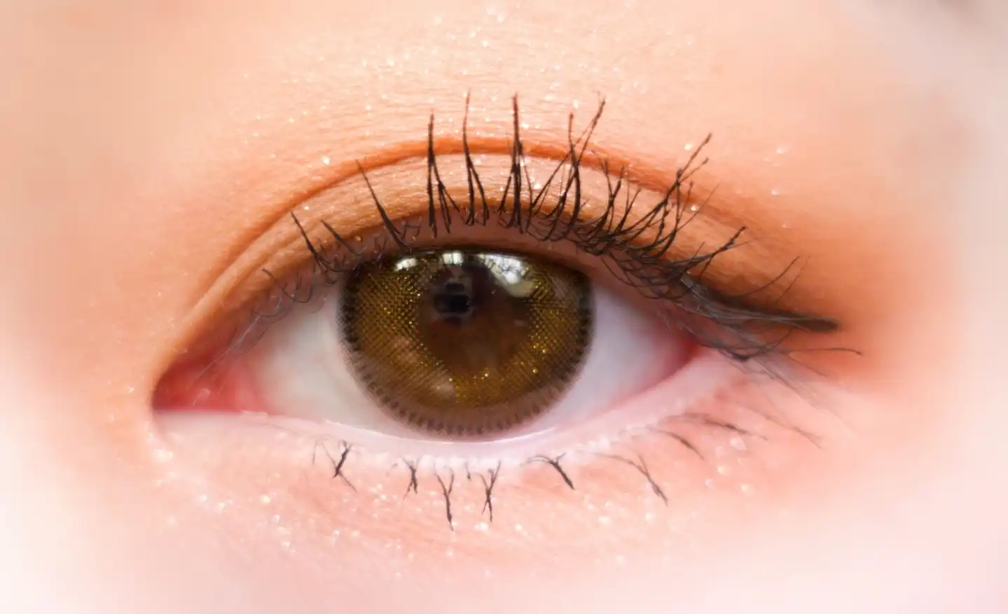 홀리몰리 레이어 팔레트 [데이 애프터 데이]