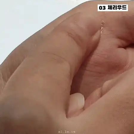 언니의파우치 리뷰 이미지 8 - [아이즈핏 섀도우 데일리 [코지니트]]