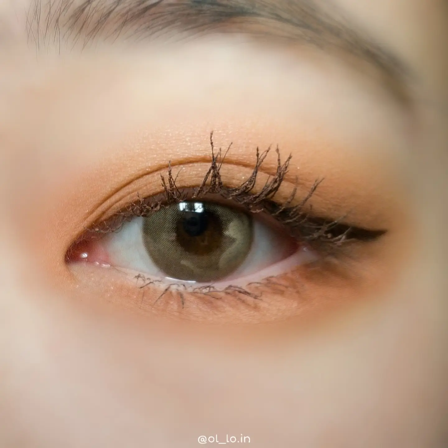 선택된 언니의파우치 리뷰 이미지 - [나비 [브라운]]