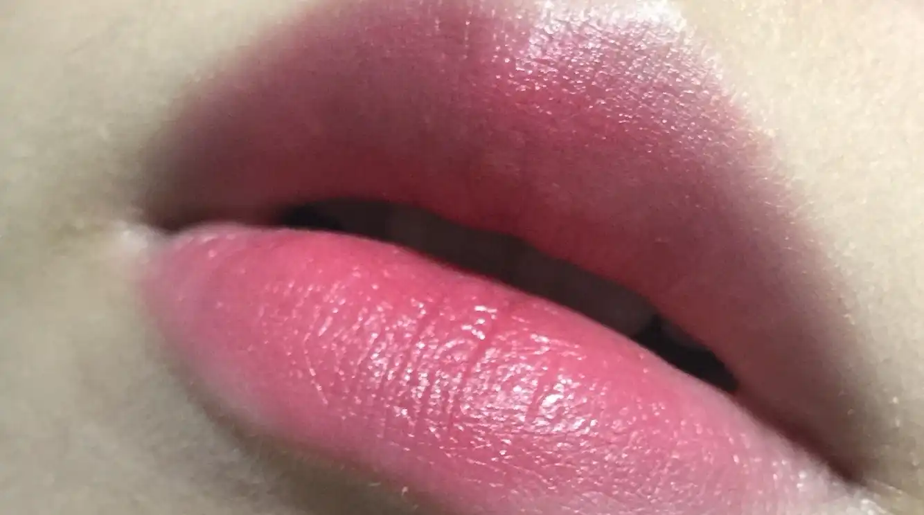 다이노플라츠 바치오브라키오 [no6 델리까다]