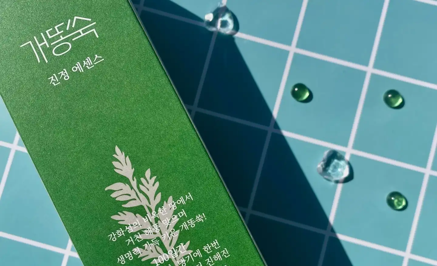 미샤 개똥쑥 진정 에센스