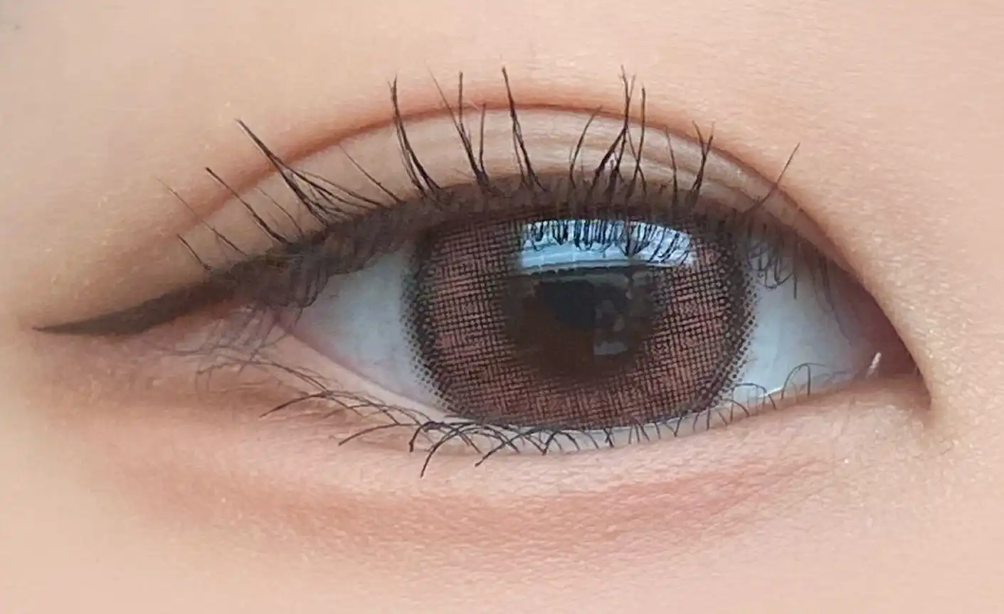 홀로리스 블라썸 [핑크]