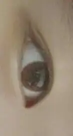 선택된 언니의파우치 리뷰 이미지 - [츄잉 [브라운]]