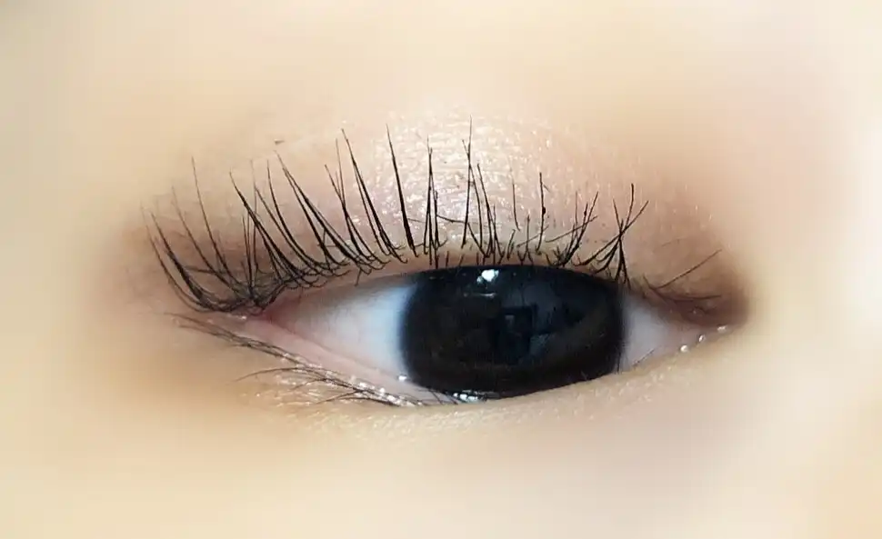 스튜디오 더블 핏 마스카라 01 롱래쉬 컬링