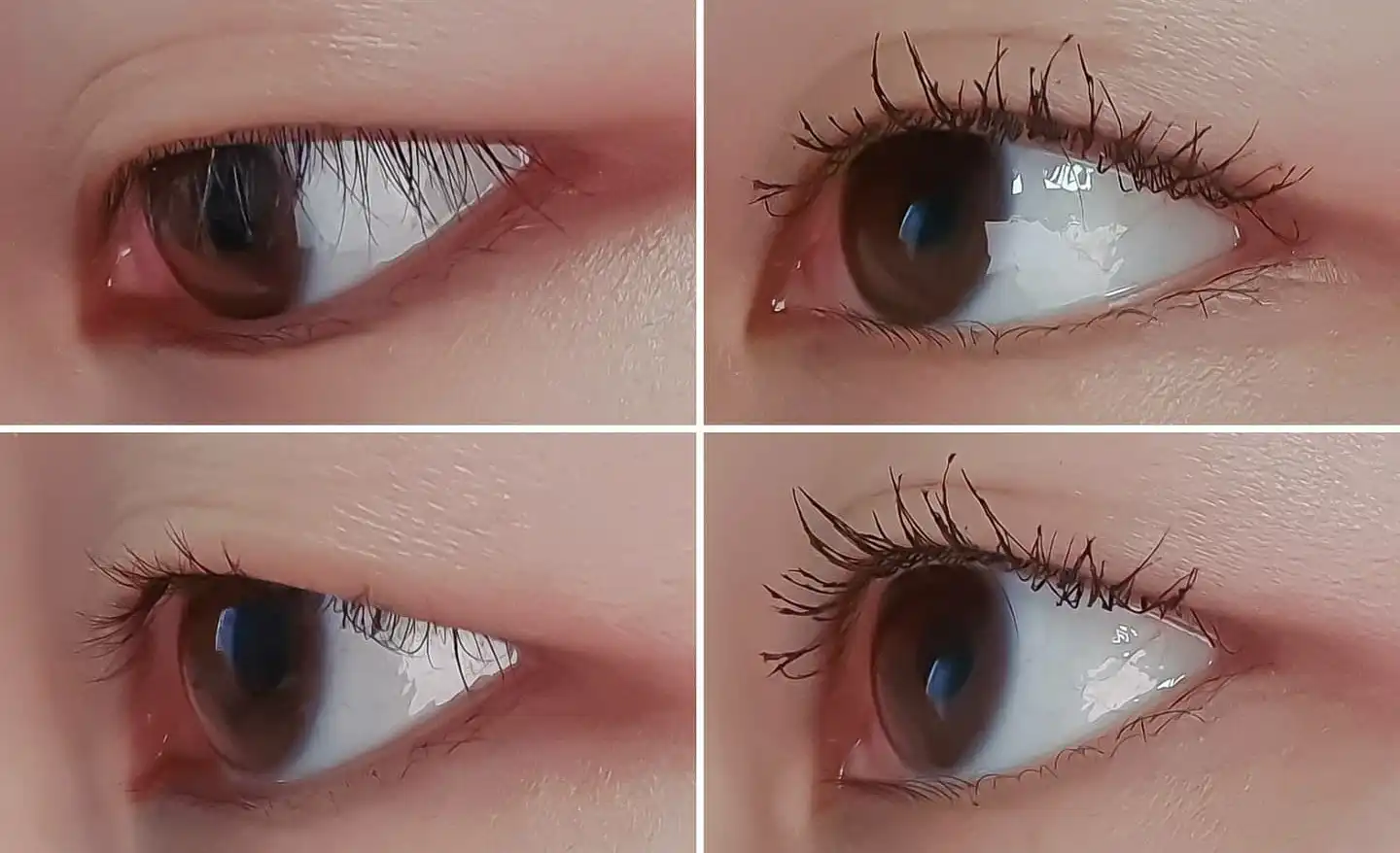 CG 퍼펙트 래쉬 카라