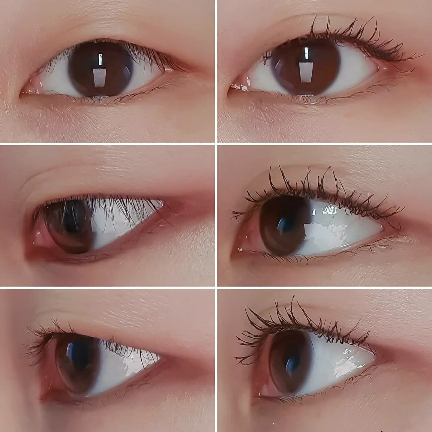 선택된 언니의파우치 리뷰 이미지 - [CG 퍼펙트 래쉬 카라]