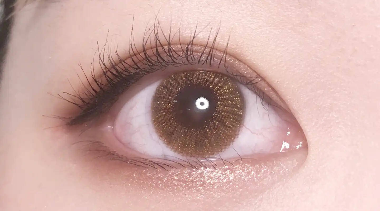 글로리 [브라운]