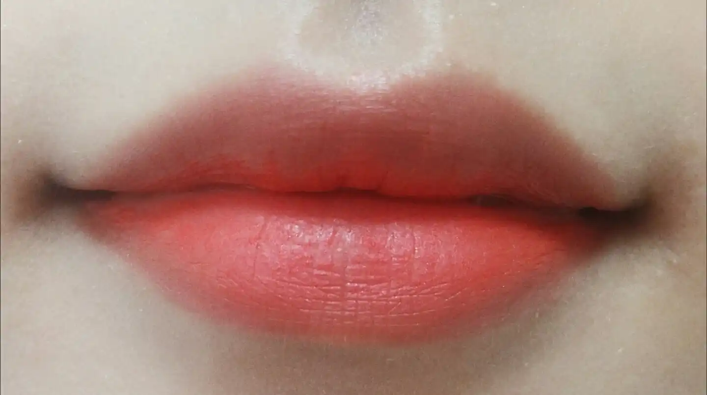 실키 래스팅 립 펜슬 건파이어