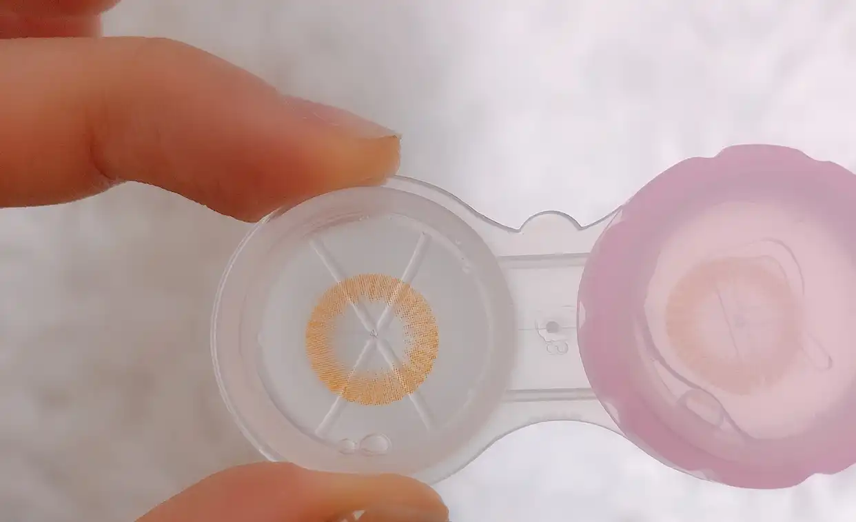 시나몬 [브라운]