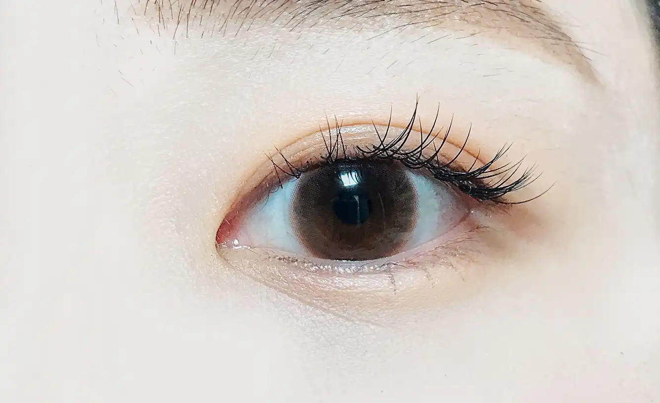 루이샤인 모찌2칼라 [쵸코]