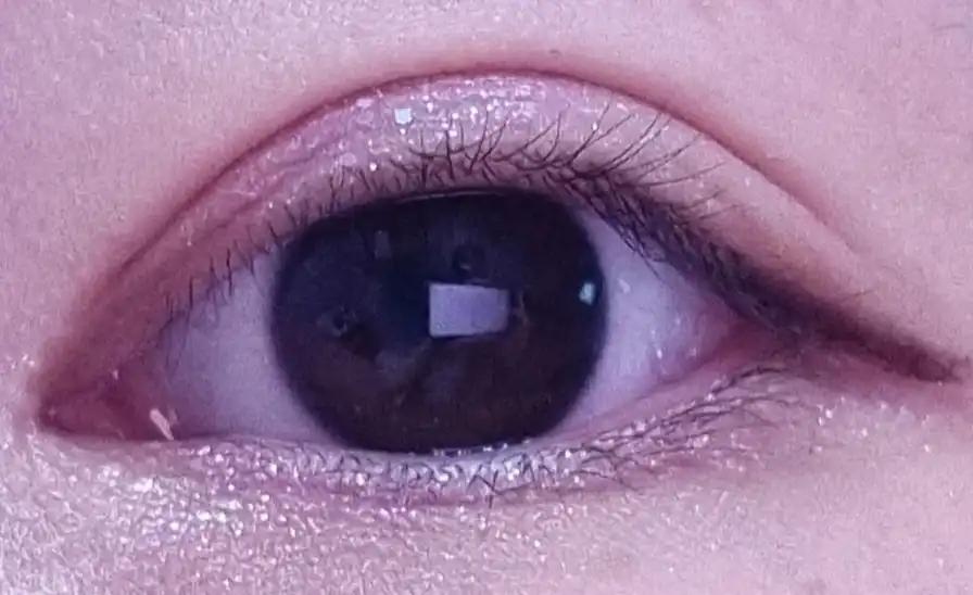 리얼 아이 팔레트 [4호 모브미]