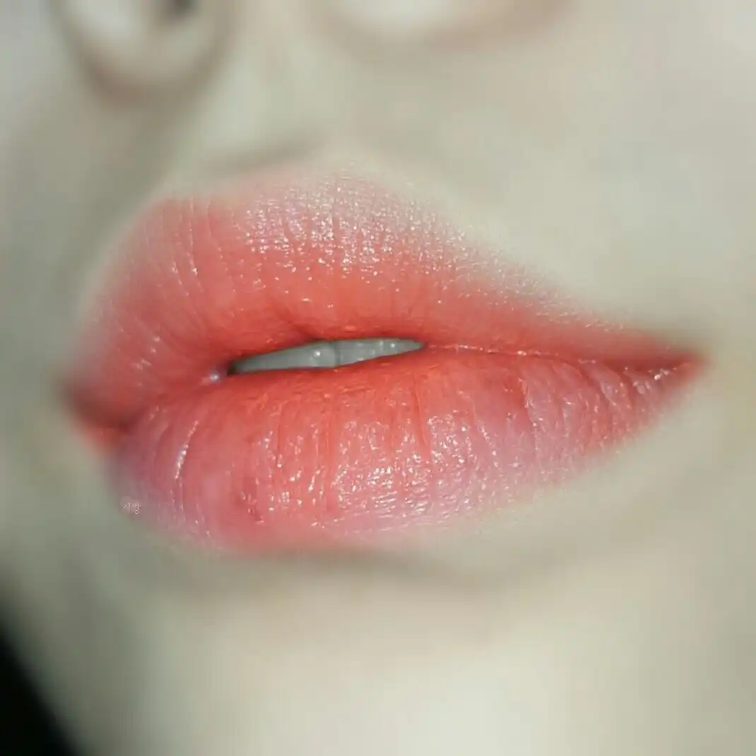 언니의파우치 리뷰 이미지 6 - [컬러 인 리퀴드 립스 OR205 메이드 인 스윗]