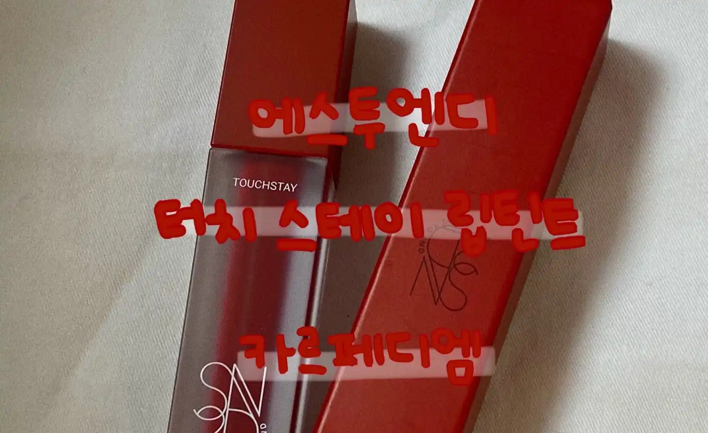 에스투엔디 터치 스테이 립 틴트 카르페디엠