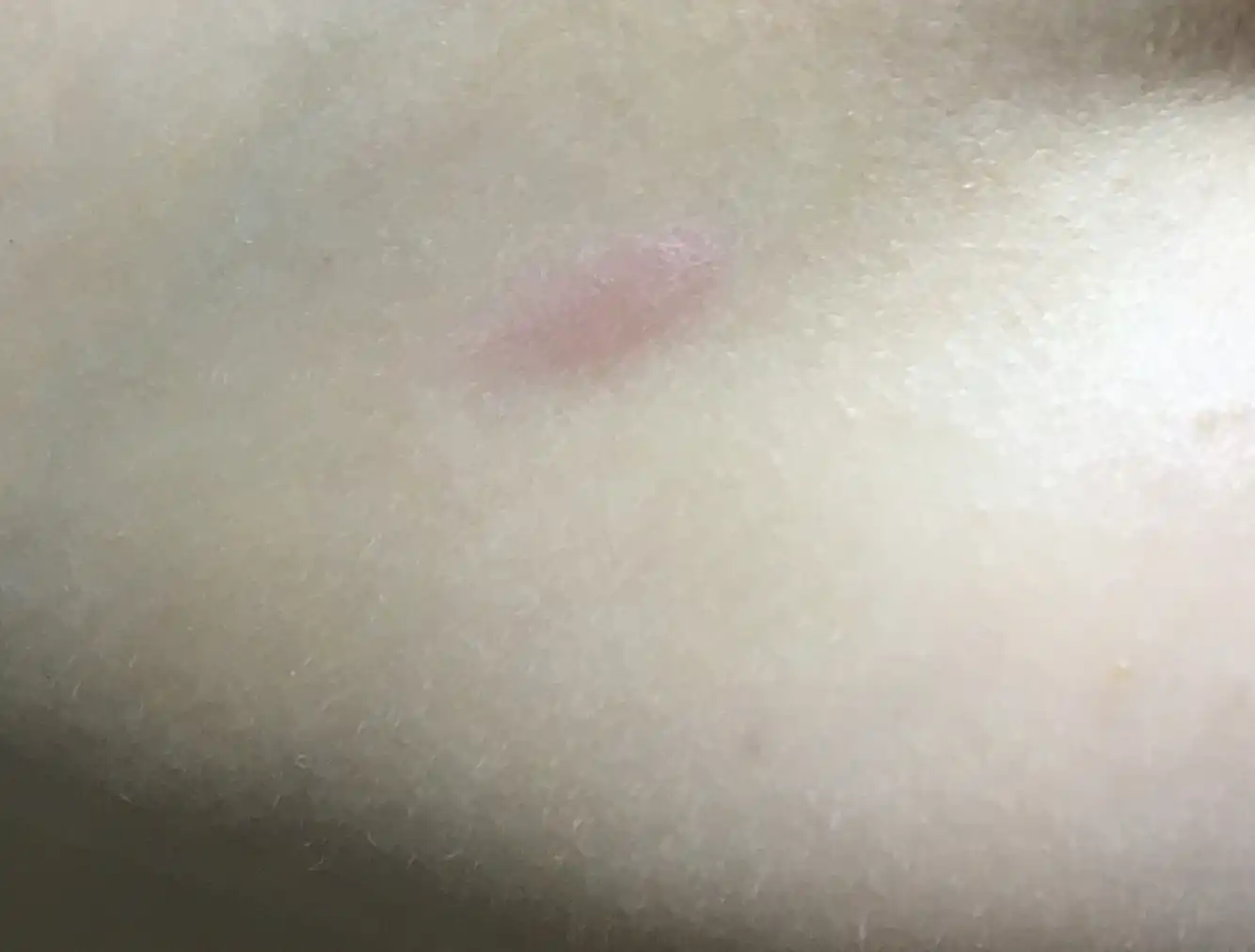 언니의파우치 리뷰 이미지 14 - [블랙쿠션 [21N1 바닐라] ]