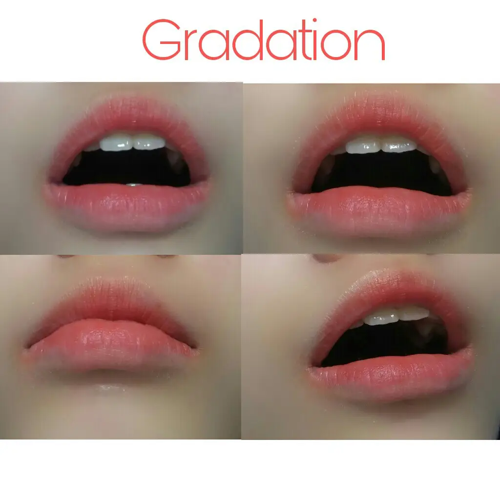 선택된 언니의파우치 리뷰 이미지 - [잉크 더 에어리 벨벳 [006 인생잇템]]