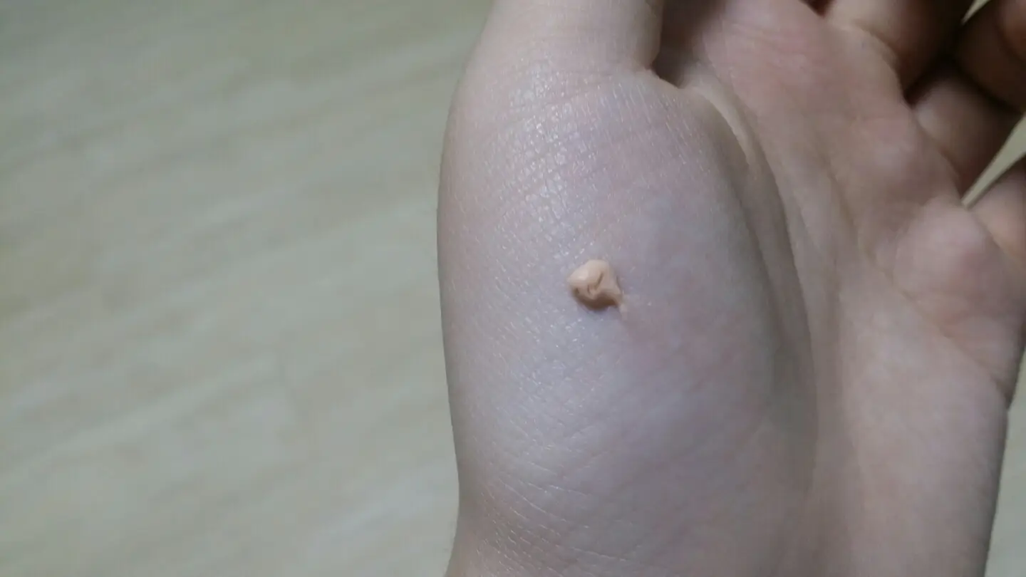 선택된 언니의파우치 리뷰 이미지 - [포어 마스터 세범 컨트롤 프라이머]