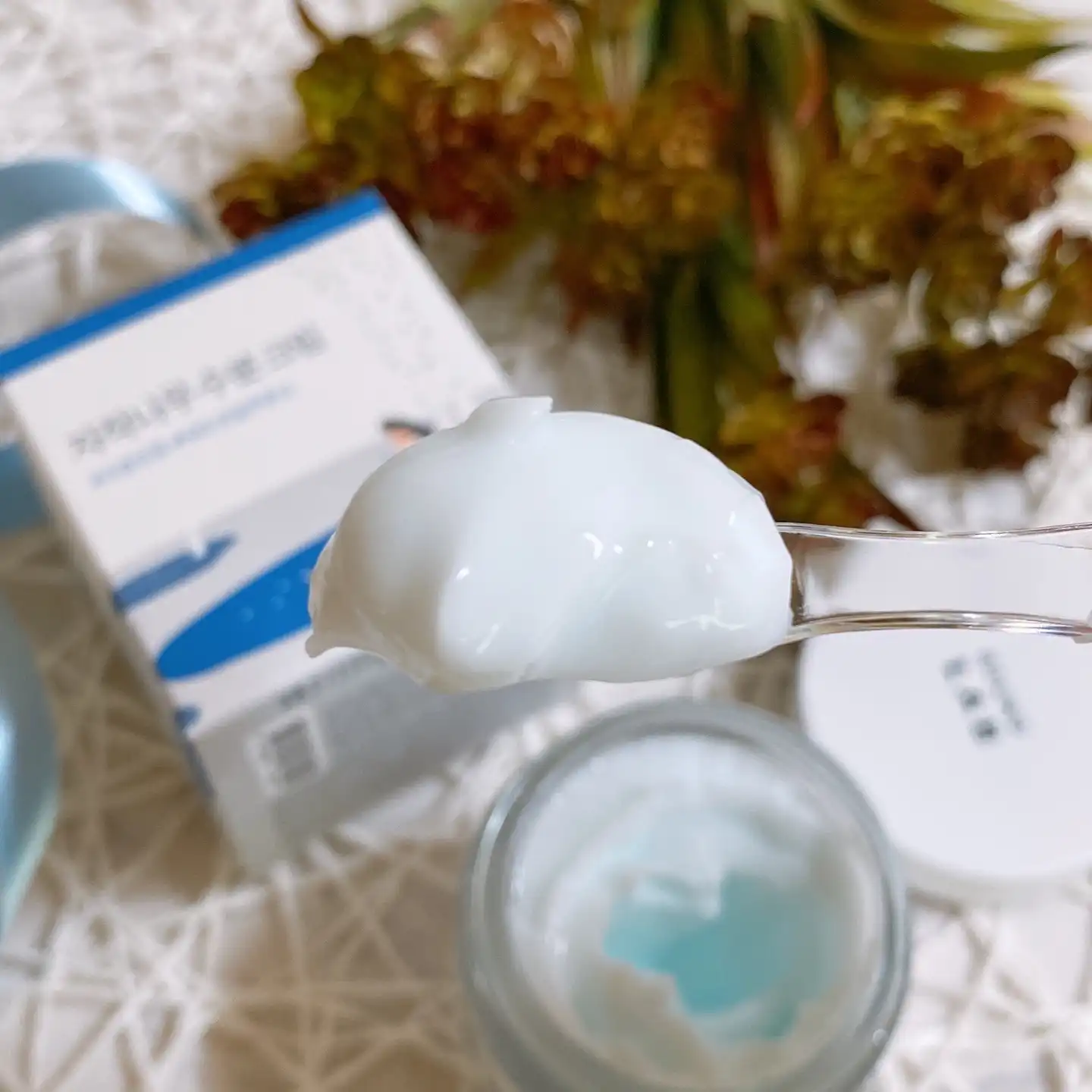 자작나무 수분 크림