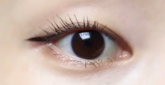 선택된 언니의파우치 리뷰 이미지 - [더 폴시 래시 리프트 워터프루프 마스카라]