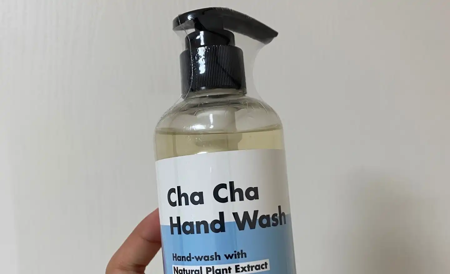 차차 핸드 워시