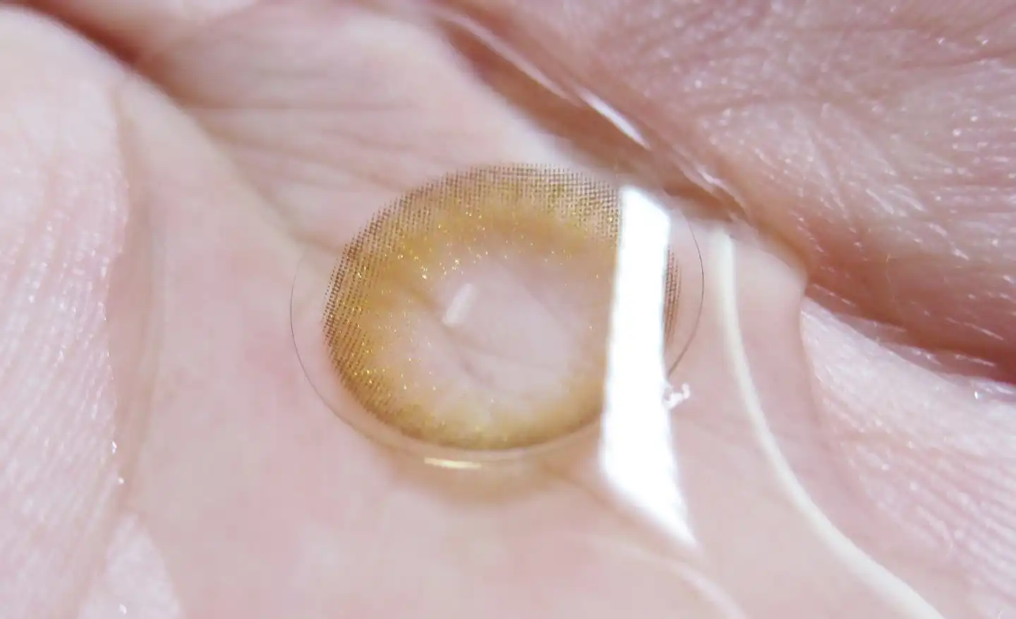 글로리 [브라운]