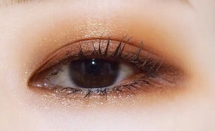 벨라 컬렉션 [에피소드 #02]