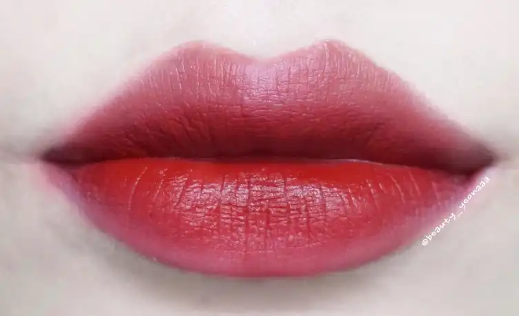 에어 핏 벨벳틴트4 [A21 가시돋은로즈]