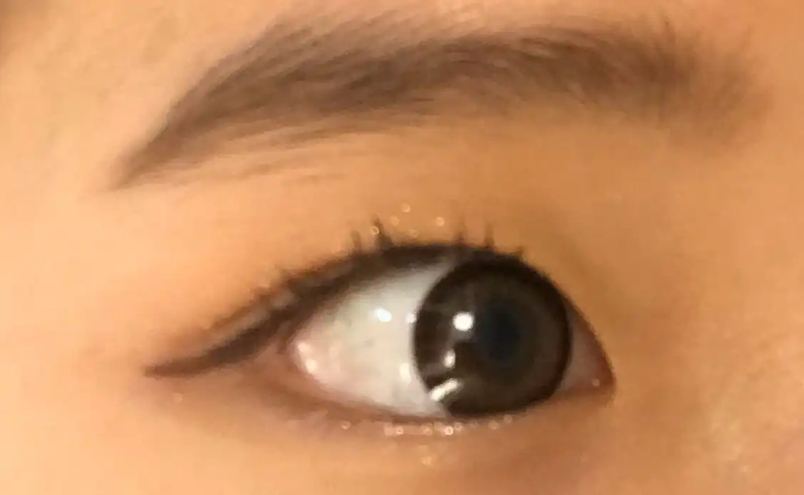 프로 아이 팔레트 [002 브라운슈]