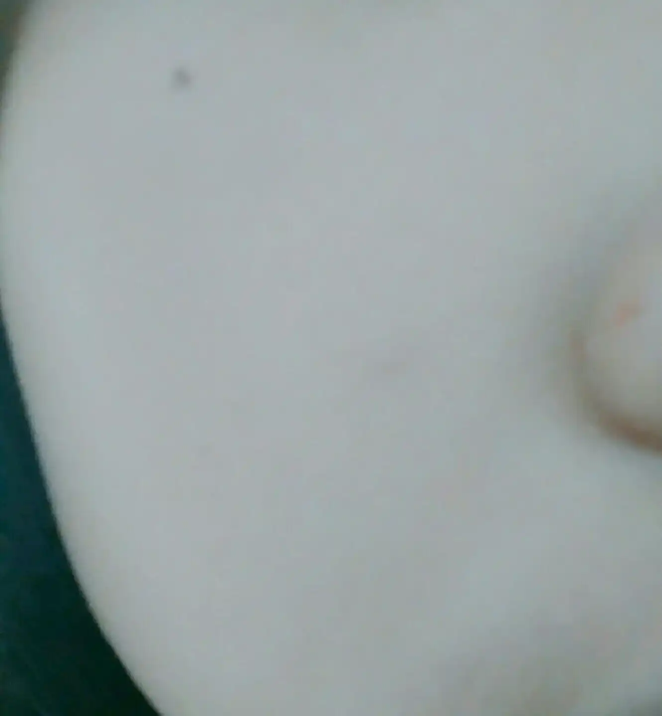 언니의파우치 리뷰 이미지 7 - [원더 텐션 팩트(모이스트) 21호]