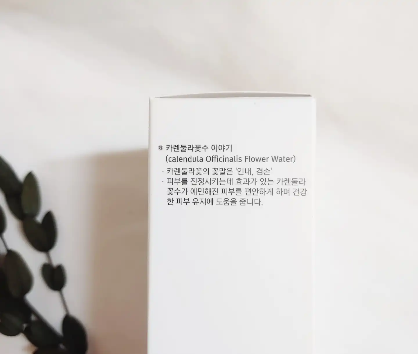 언니의파우치 리뷰 이미지 2 - [블루밍 클렌징폼]