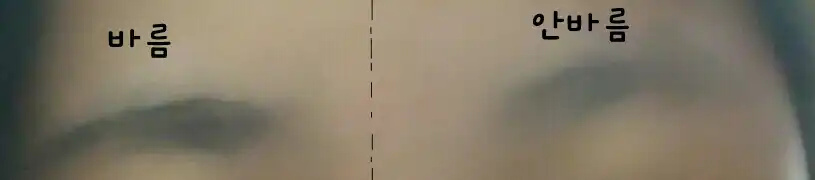 브로우마스터 아이브로우 펜슬 [03 다크그레이]