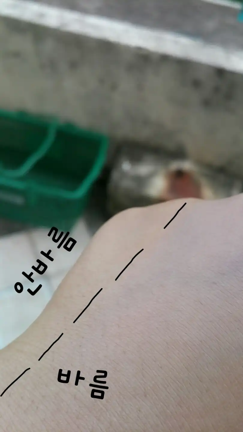 에코 세이프티 노세범 선블록