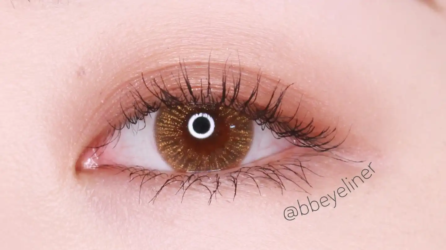 글로리 [브라운]