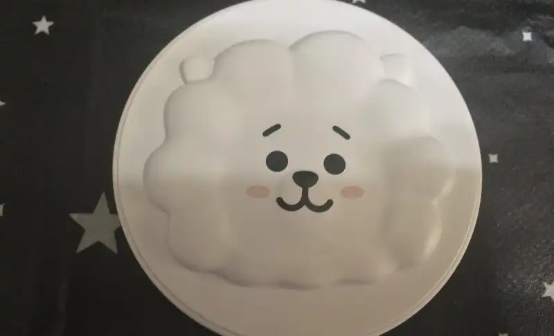 BT21 리얼웨어 커버 쿠션 [21호 아이보리]