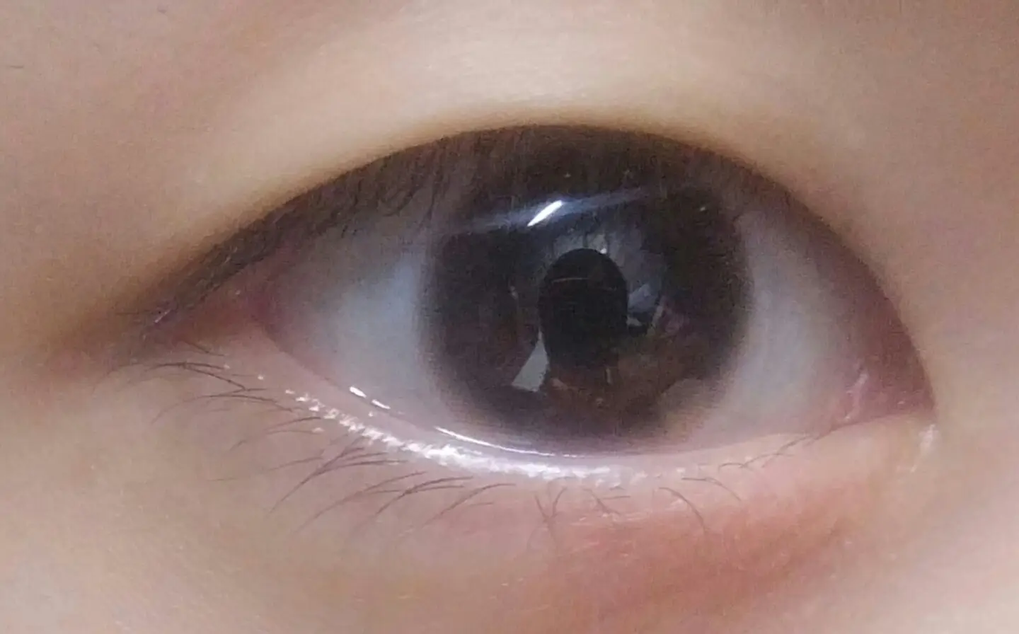 선택된 언니의파우치 리뷰 이미지 - [틴틴청순 [내츄럴초코]]