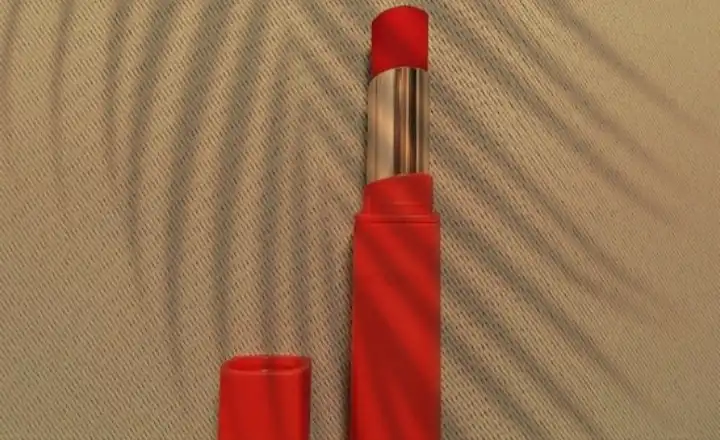 매드 매트 스테인 립 [05 레드 온 레드]