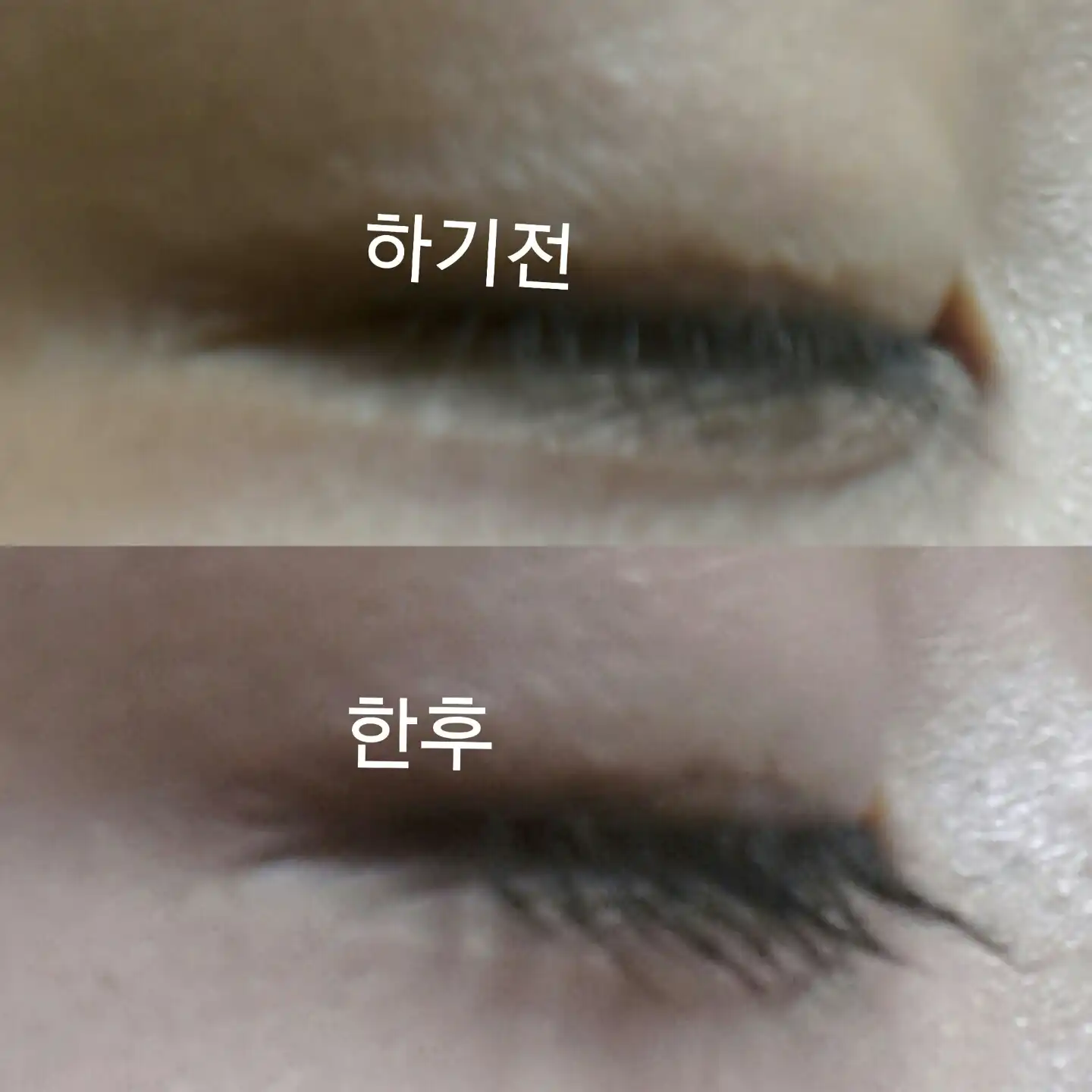 뷰어 270 돌리 아이 마스카라 [프린세스 볼륨]