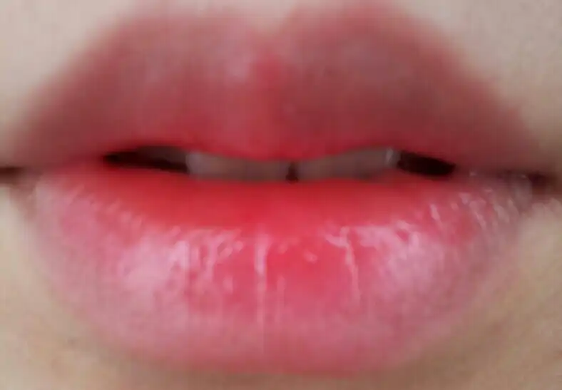 루쥬 뷔르 꾸뛰르 베르니 아 레브르(12)