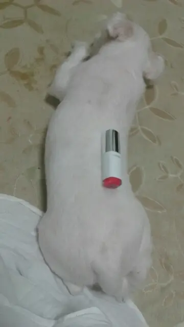 선택된 언니의파우치 리뷰 이미지 - [워터드롭 틴트 라즈베리 핑크]