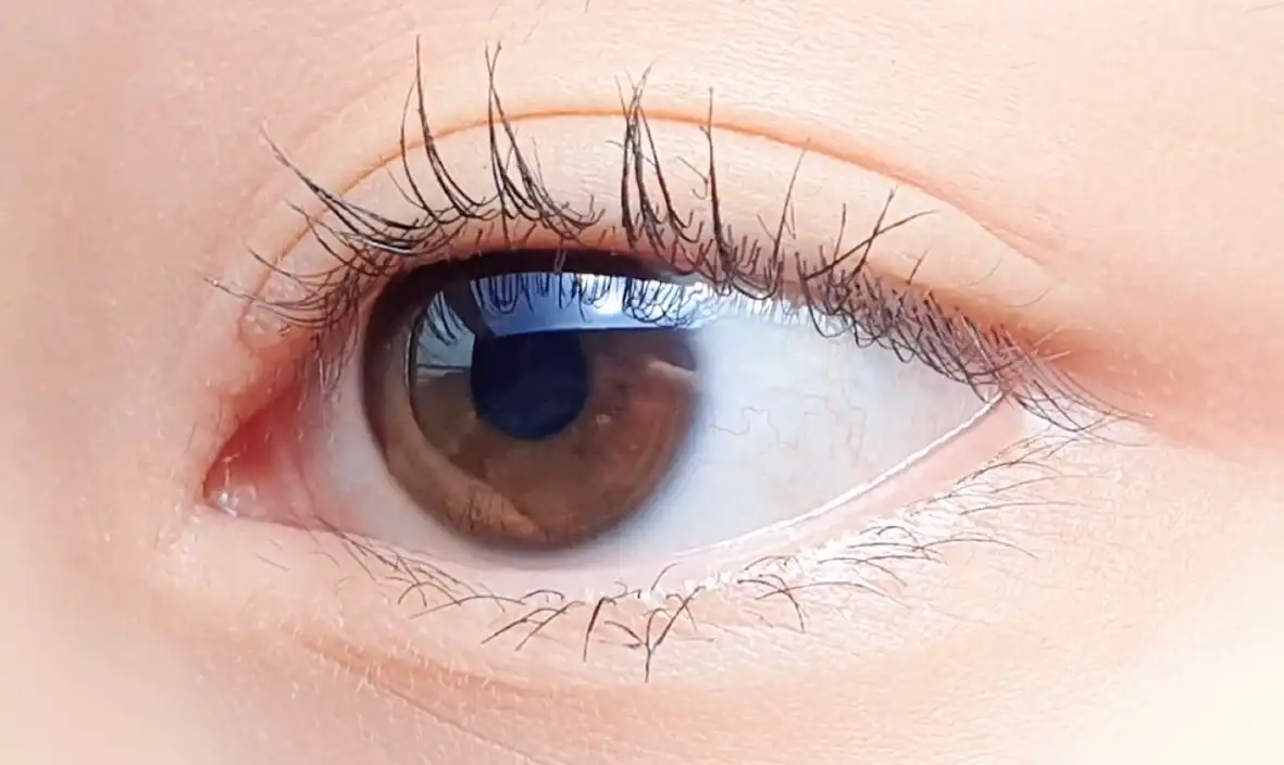 울트라 파워프루프 씬 마스카라 [컬 업 롱래쉬]