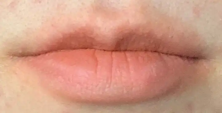 레이어 퍼지 틴트 [#1 퍼지코랄]